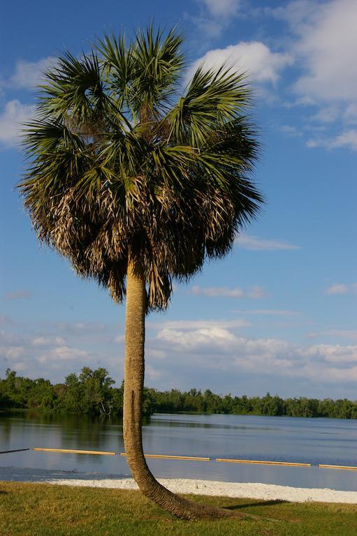 Cypress Cove Nudist Resort Poinciana Eksteriør bilde
